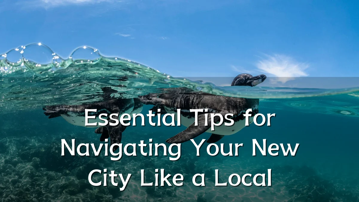 Essential Tips for Navigating Your New City Like a Local