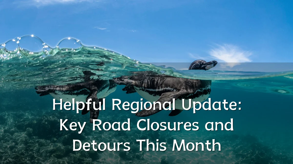Helpful Regional Update: Key Road Closures and Detours This Month