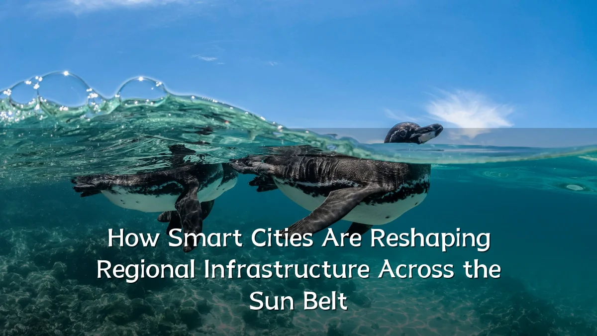 How Smart Cities Are Reshaping Regional Infrastructure Across the Sun Belt