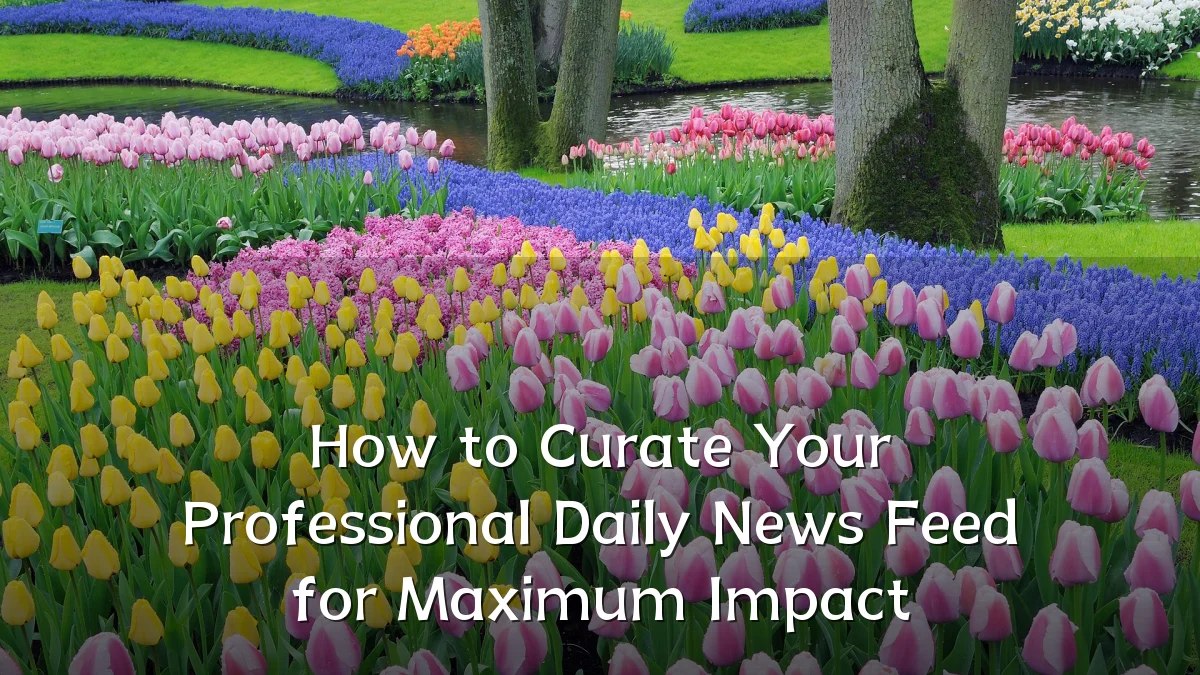 How to Curate Your Professional Daily News Feed for Maximum Impact