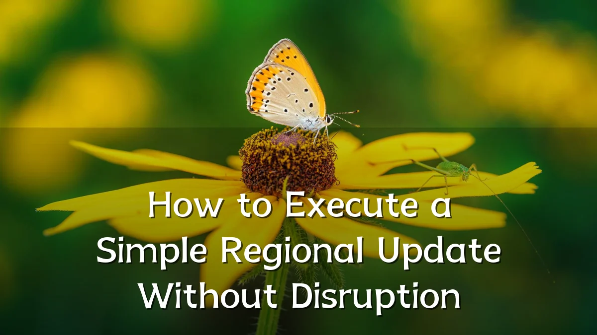 How to Execute a Simple Regional Update Without Disruption
