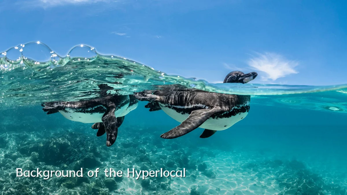 Background of the Hyperlocal