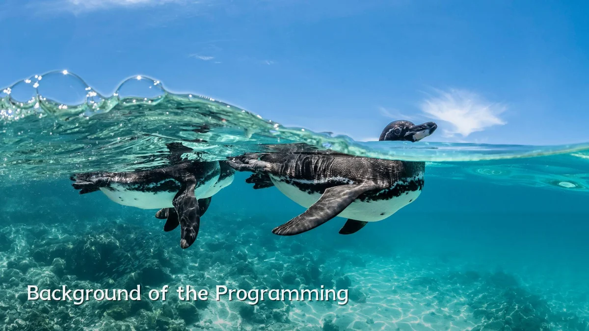 Background of the Programming