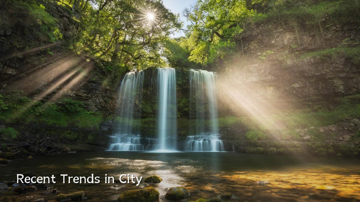 Recent Trends in City