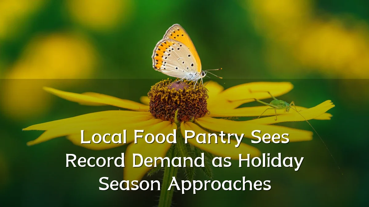 Local Food Pantry Sees Record Demand as Holiday Season Approaches