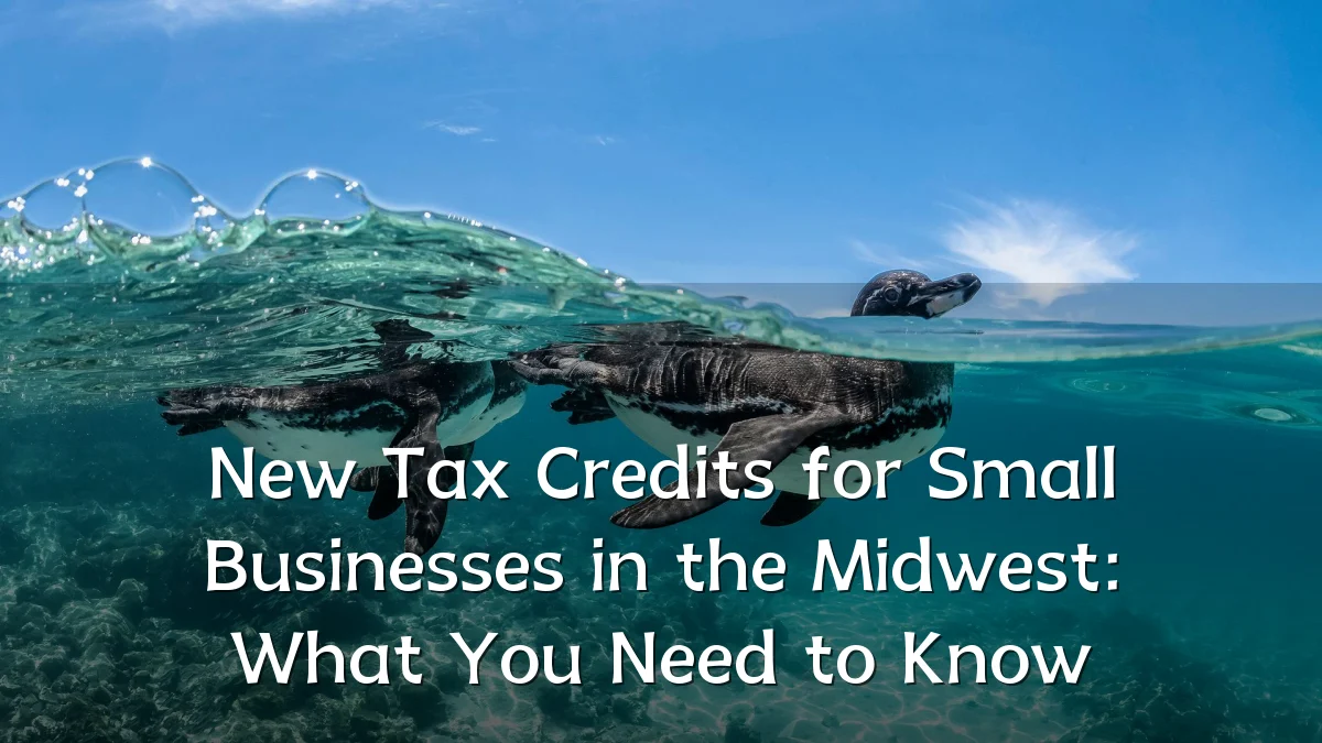 New Tax Credits for Small Businesses in the Midwest: What You Need to Know