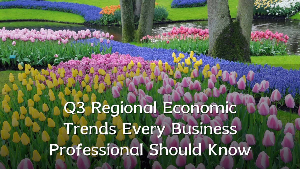 Q3 Regional Economic Trends Every Business Professional Should Know