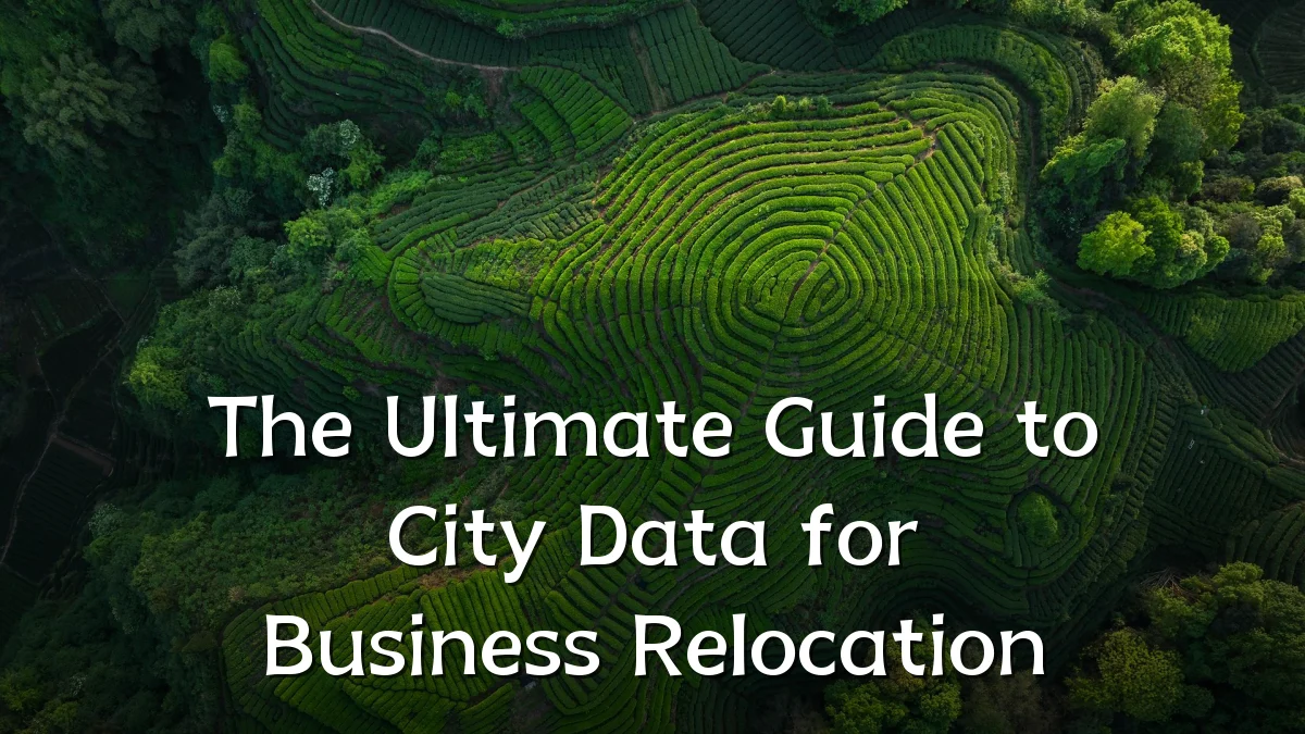 The Ultimate Guide to City Data for Business Relocation