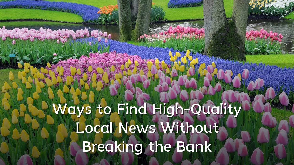 Ways to Find High-Quality Local News Without Breaking the Bank