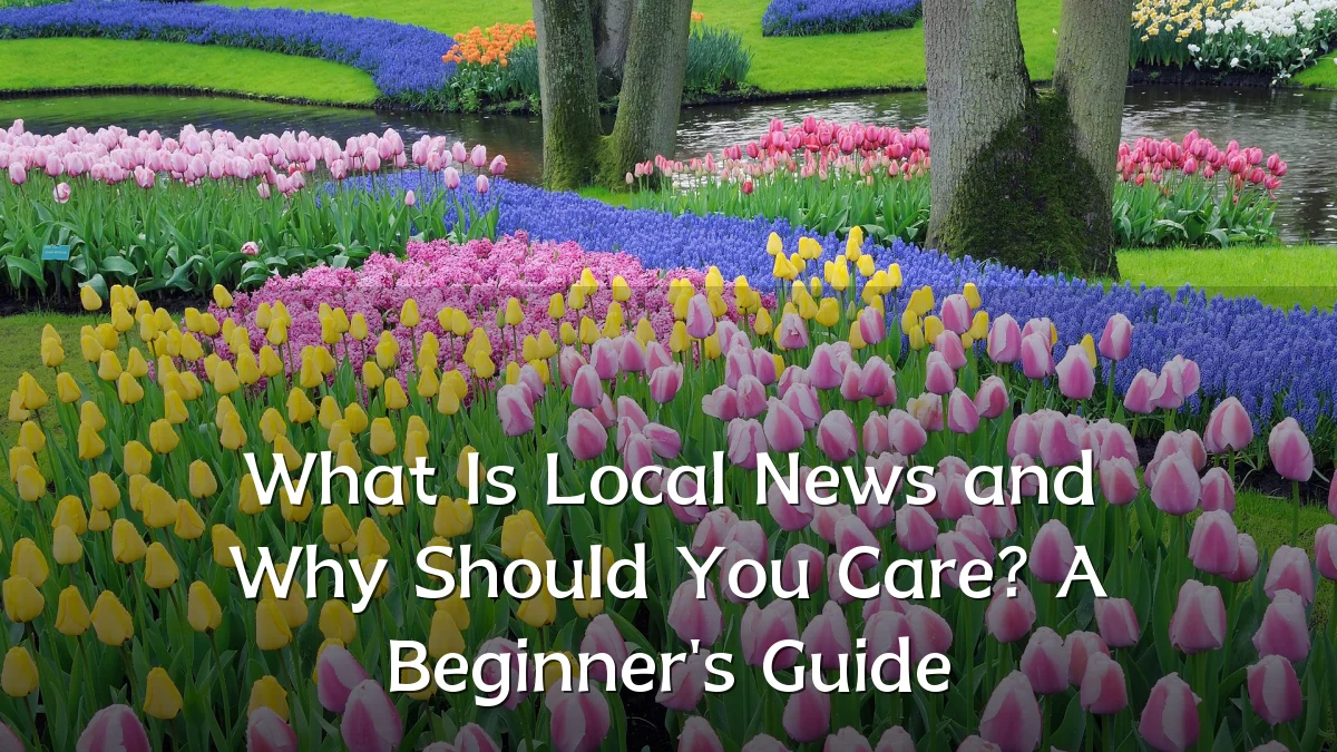 What Is Local News and Why Should You Care? A Beginner's Guide