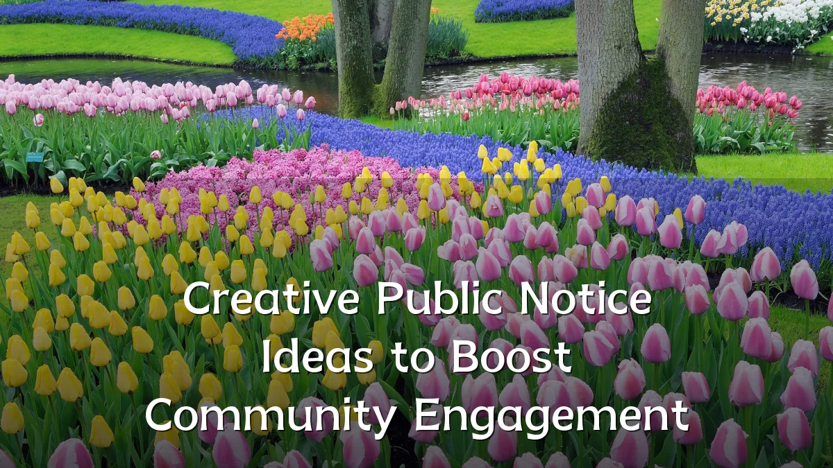 Creative Public Notice Ideas to Boost Community Engagement