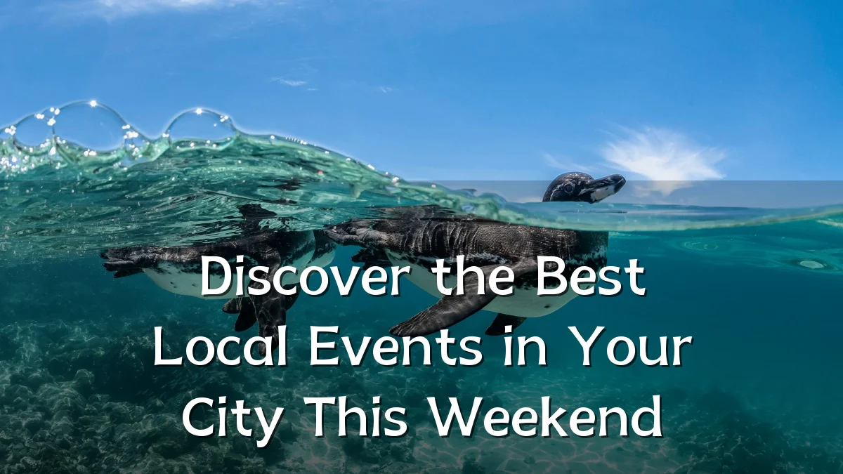 Discover the Best Local Events in Your City This Weekend