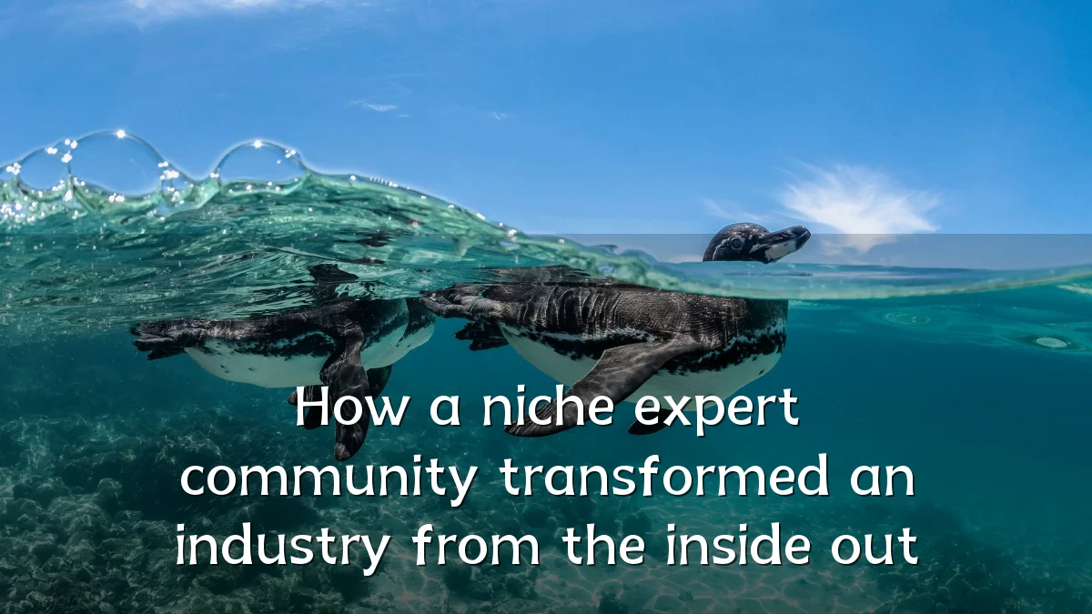 How a niche expert community transformed an industry from the inside out