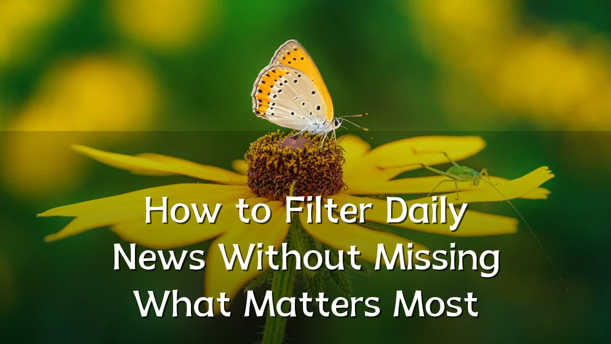 How to Filter Daily News Without Missing What Matters Most