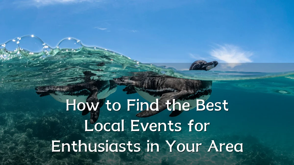 How to Find the Best Local Events for Enthusiasts in Your Area