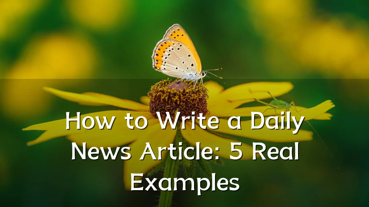 How to Write a Daily News Article: 5 Real Examples