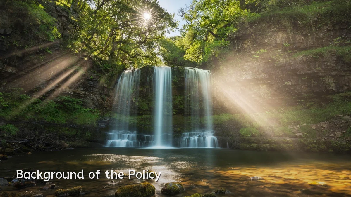 Background of the Policy