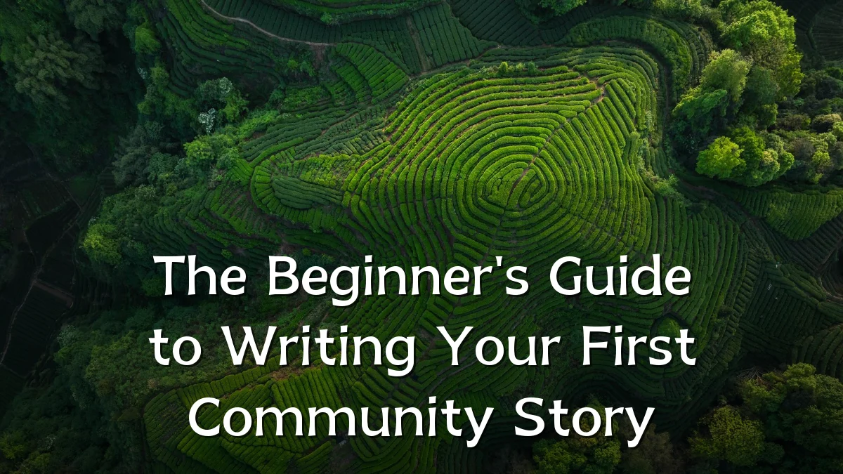 The Beginner's Guide to Writing Your First Community Story