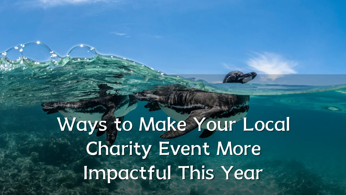 Ways to Make Your Local Charity Event More Impactful This Year