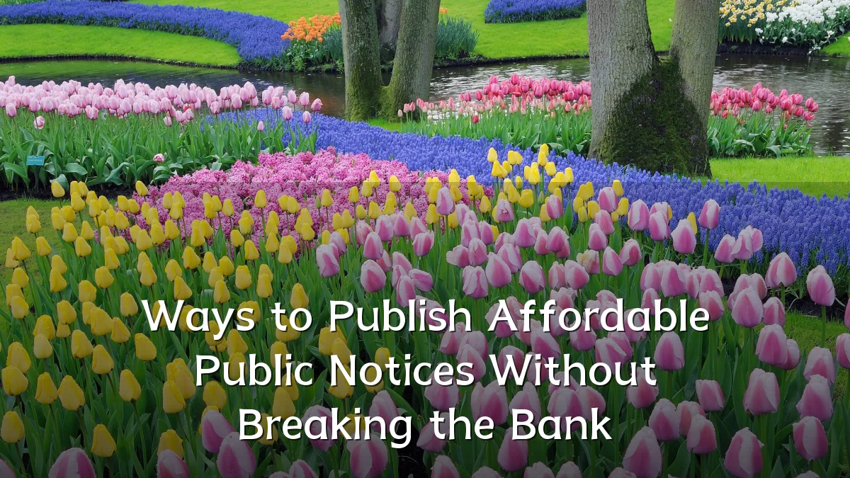 Ways to Publish Affordable Public Notices Without Breaking the Bank