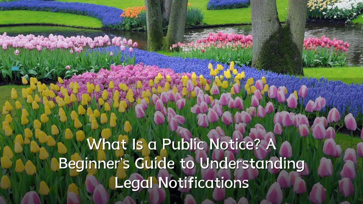What Is a Public Notice? A Beginner's Guide to Understanding Legal Notifications