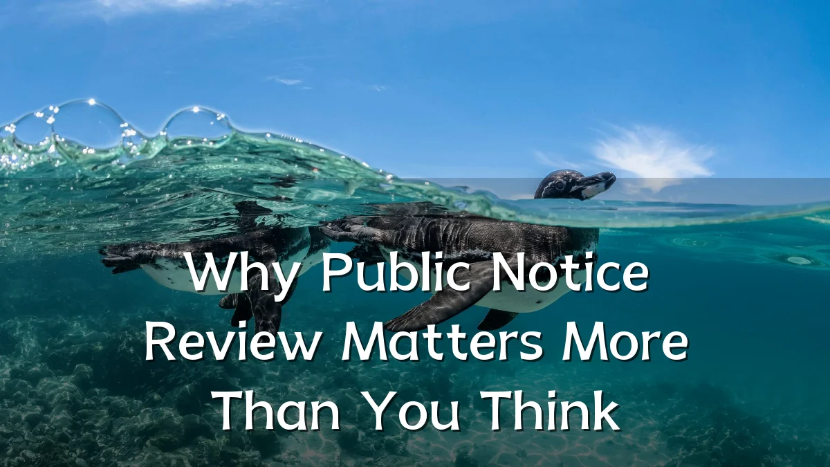 Why Public Notice Review Matters More Than You Think